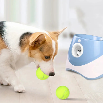 Automatic Tennis Ball Launcher For Pets