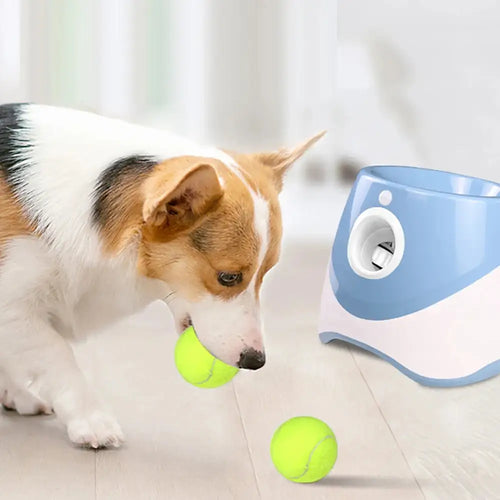 Automatic Tennis Ball Launcher For Pets