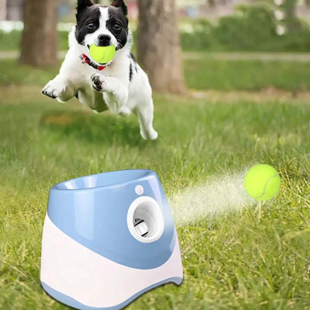 Automatic Tennis Ball Launcher For Pets